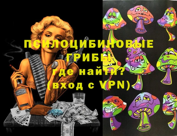 МДПВ Армянск