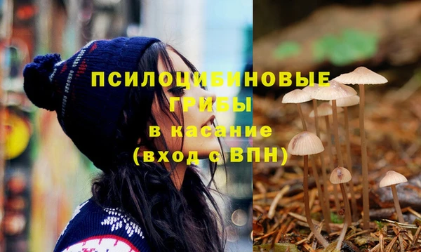 МДПВ Армянск